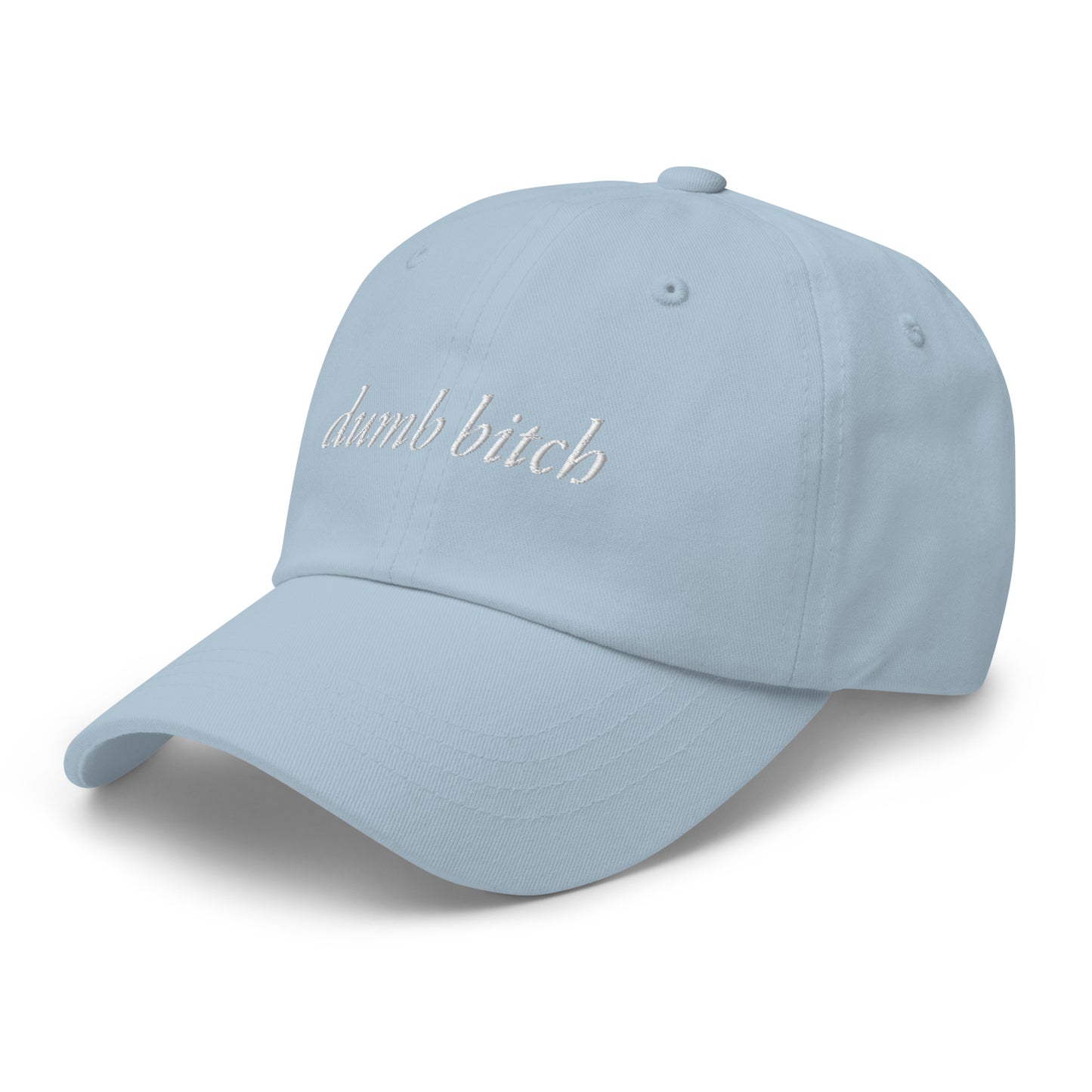 dumb bitch hat